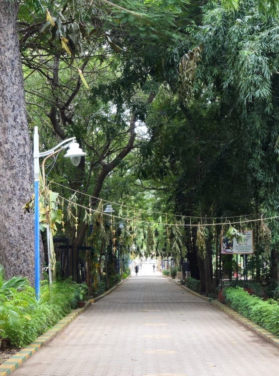 Botanical Garden