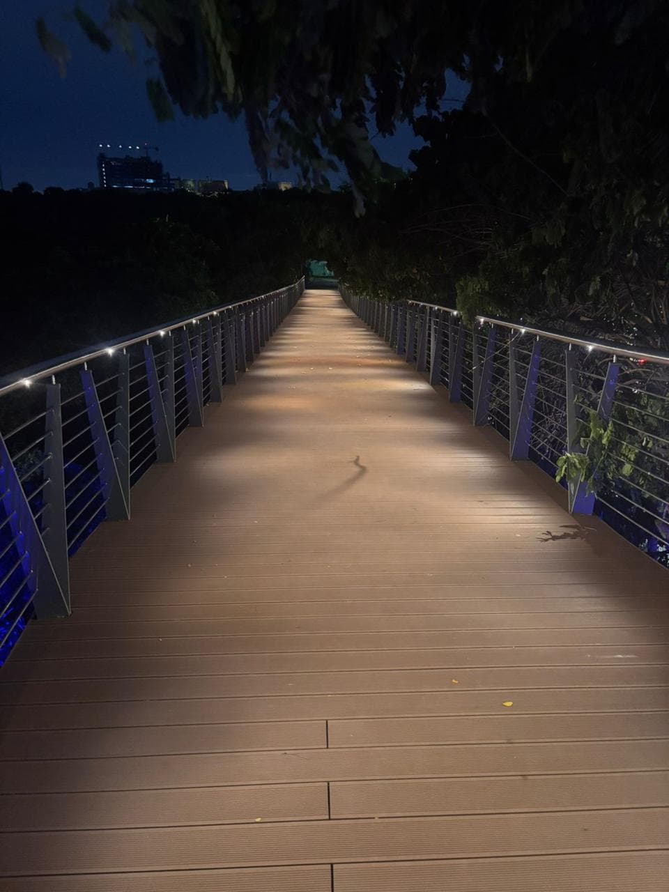 Skywalk - Tholkappiar Park