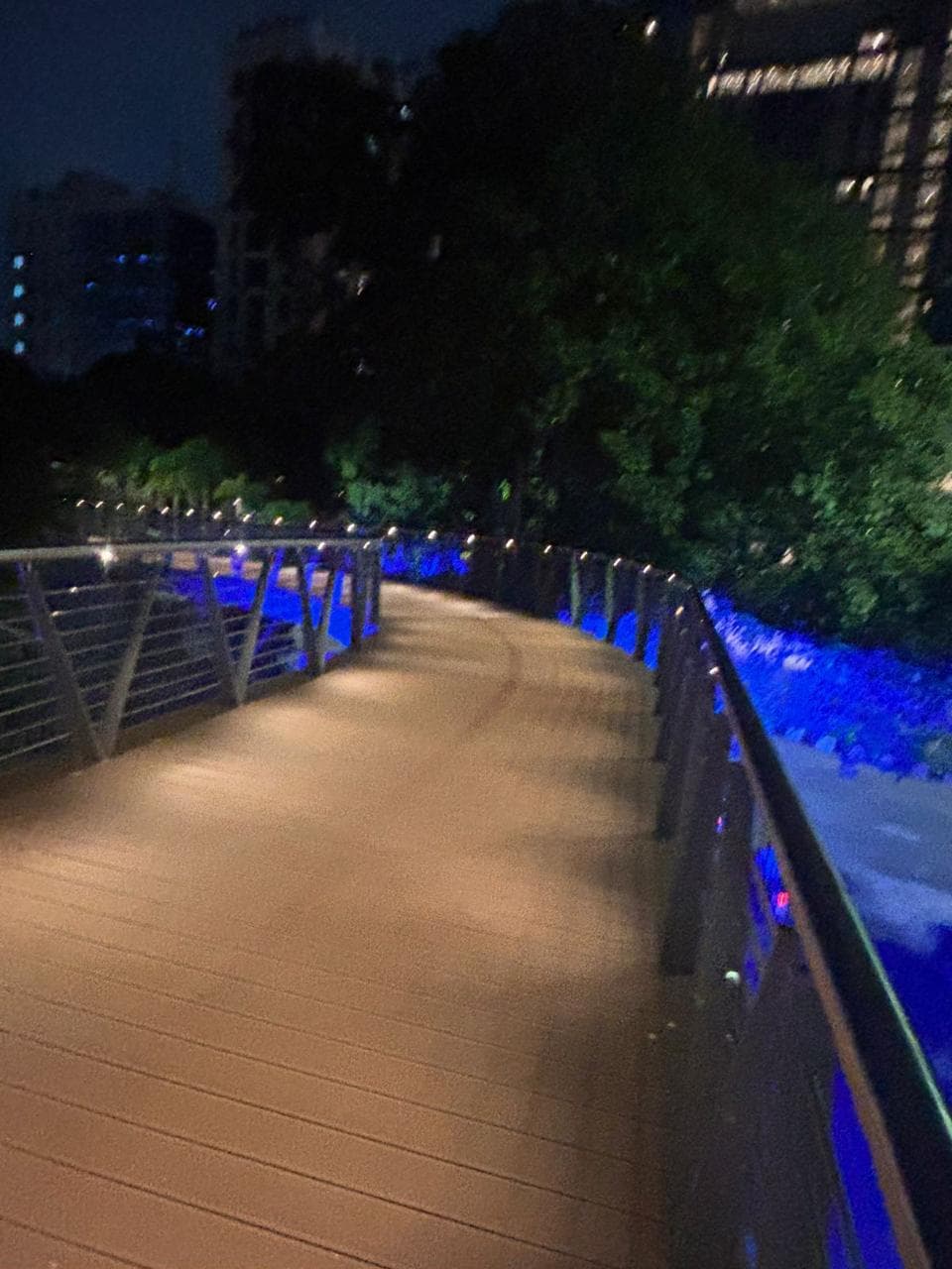 Skywalk - Tholkappiar Park