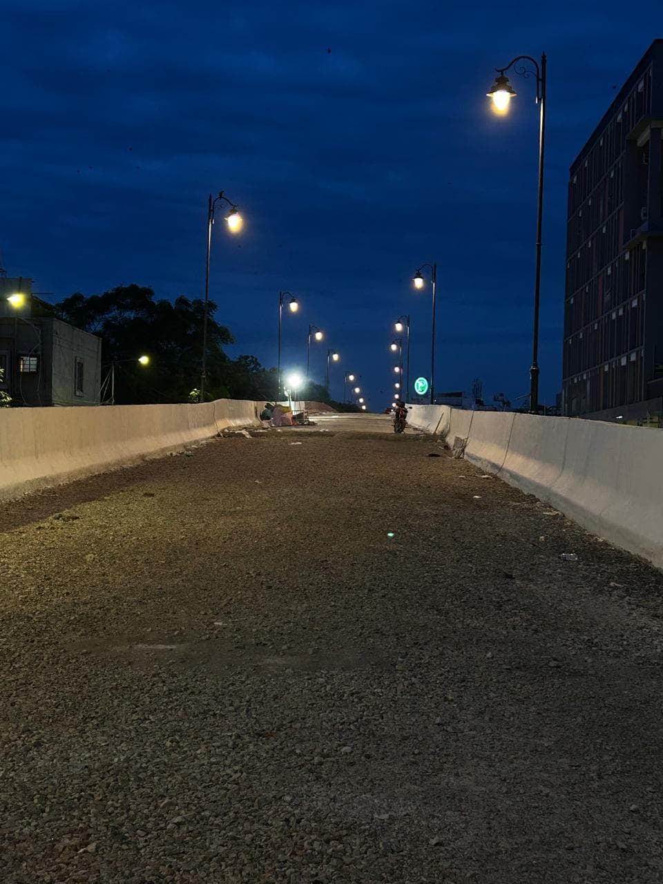 T Nagar Steel Bridge