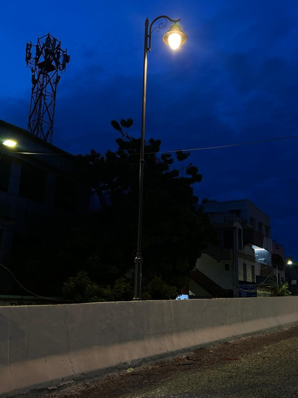 T Nagar Steel Bridge