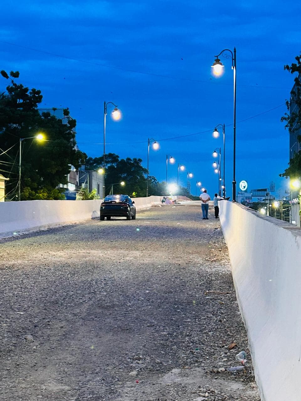 T Nagar Steel Bridge