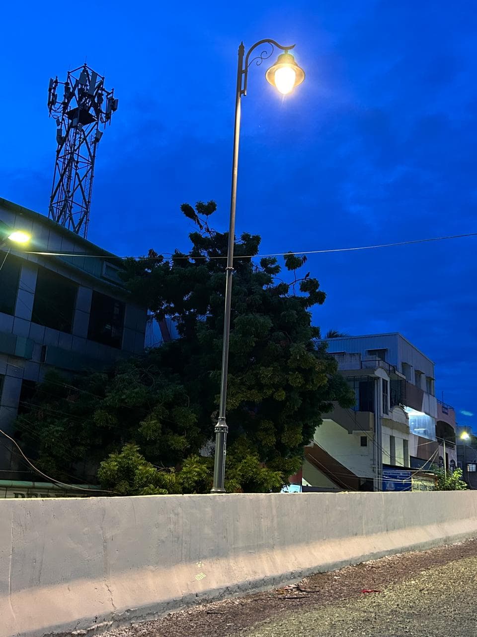 T Nagar Steel Bridge